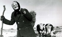 Women's History Month: Hannah Hauxwell, 'Daughter of the Dales' – a one woman farming force