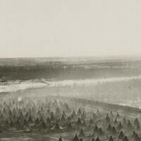 Opinion - American concentration camps still exist today