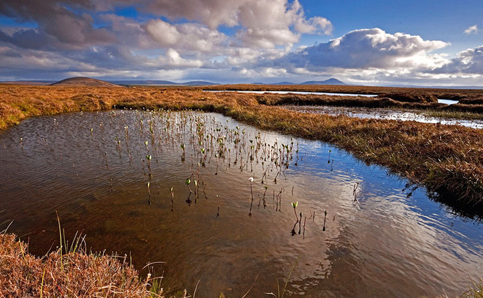 A peatland restoration project