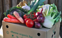 Organic market doubles in a decade as shoppers 'back British farming'