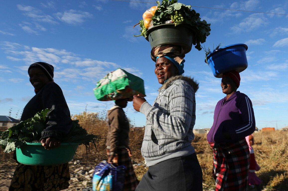 In Zimbabwe millions choose funeral insurance over pricey medical cover