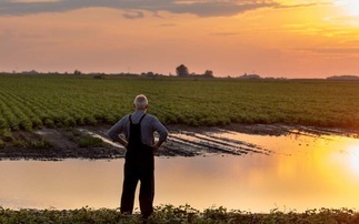'Who is going to feed you now?' - Family farm tax 'betrayal' intensifies calls for policy to be scrapped