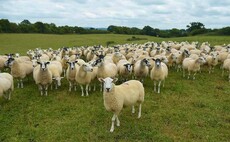 FECPAKG2 modernises traditional parasite testing