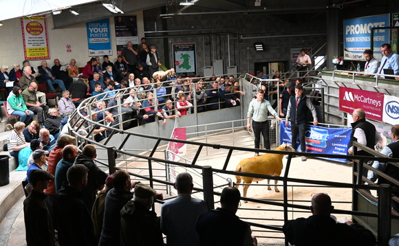 NSA Wales and Border early ram sale sees highs of 3,500gns