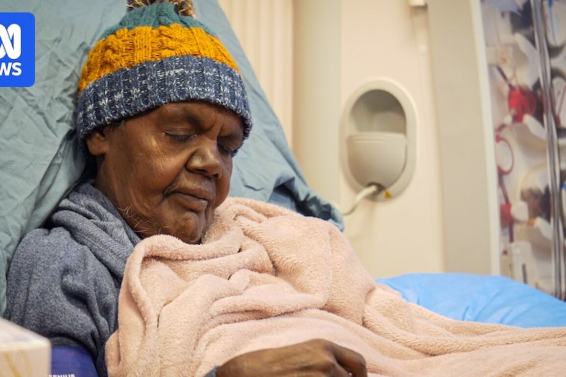 Pilbara dialysis patients and health workers pleading for Newman hostel