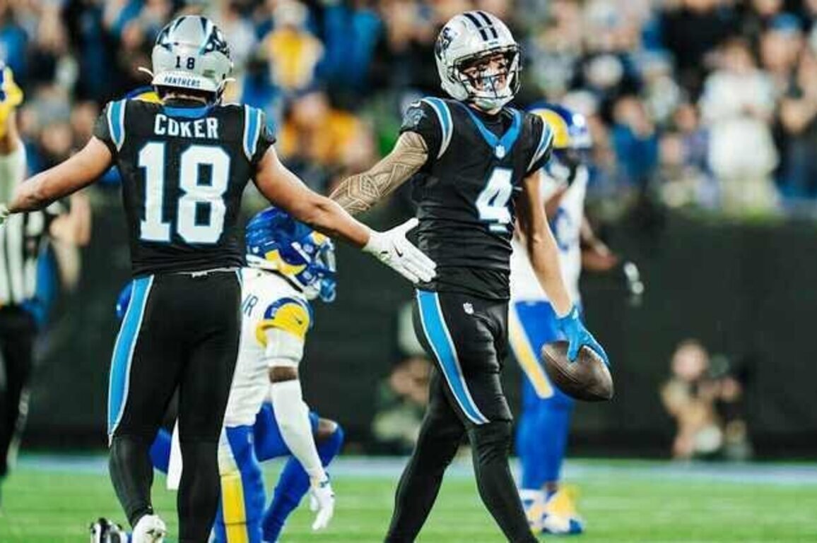 Panthers offseason positional review: Wide receiver