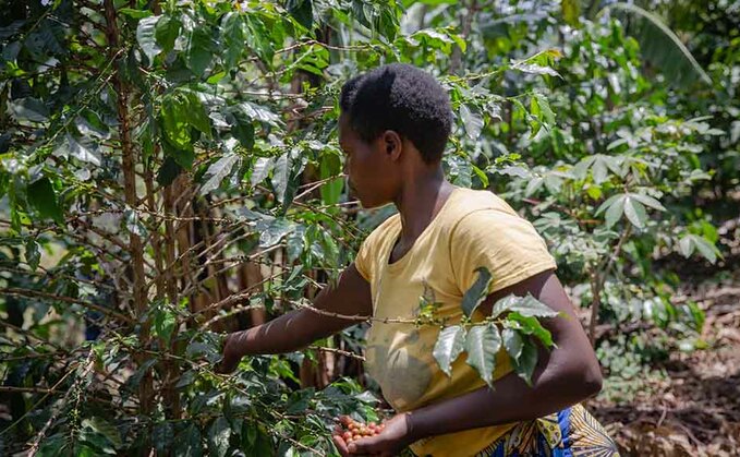 Woman power fuelling global agriculture