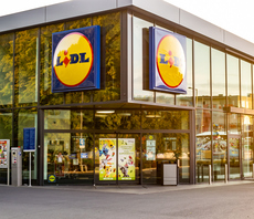 Lidl and WWF team up to promote biodiversity and responsible sourcing across 31 countries