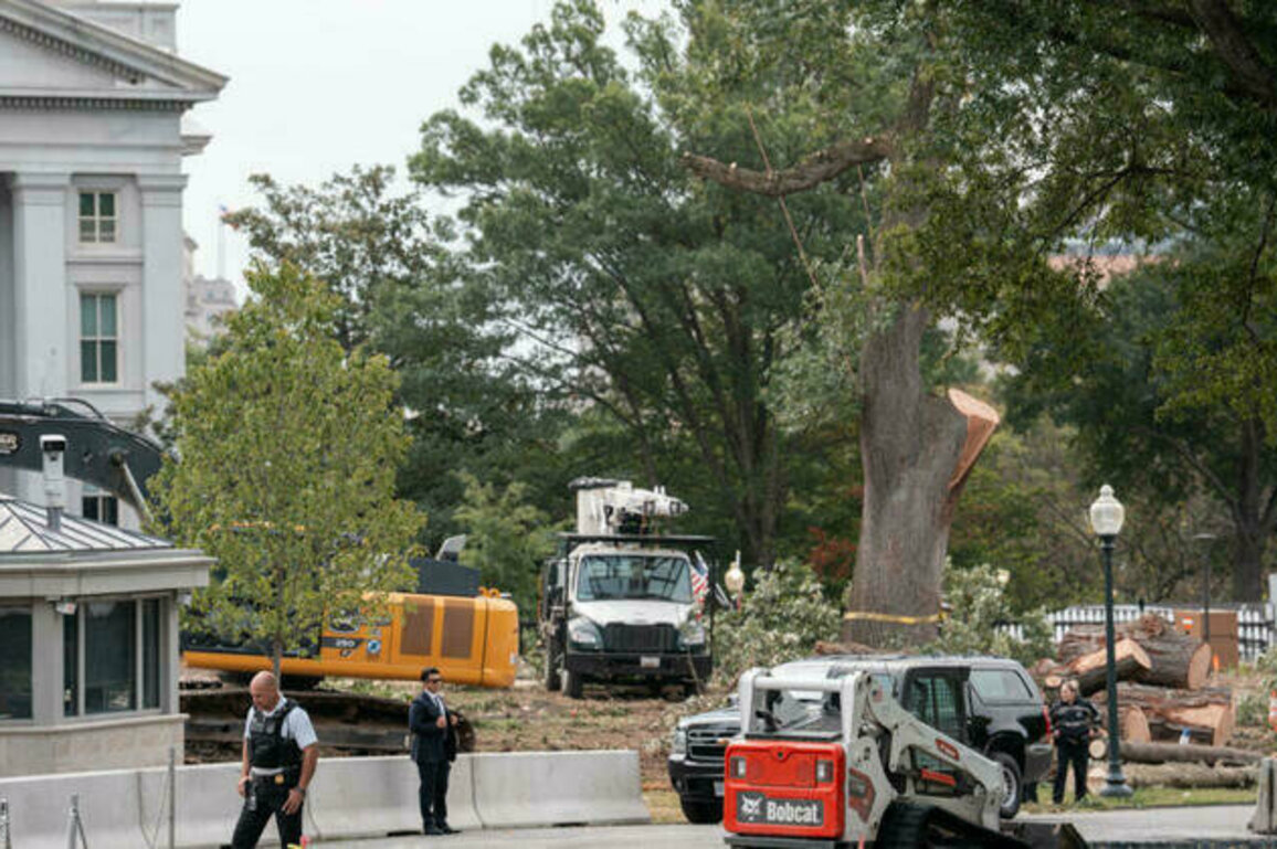 White House starts demolishing part of East Wing for Trump's ballroom
