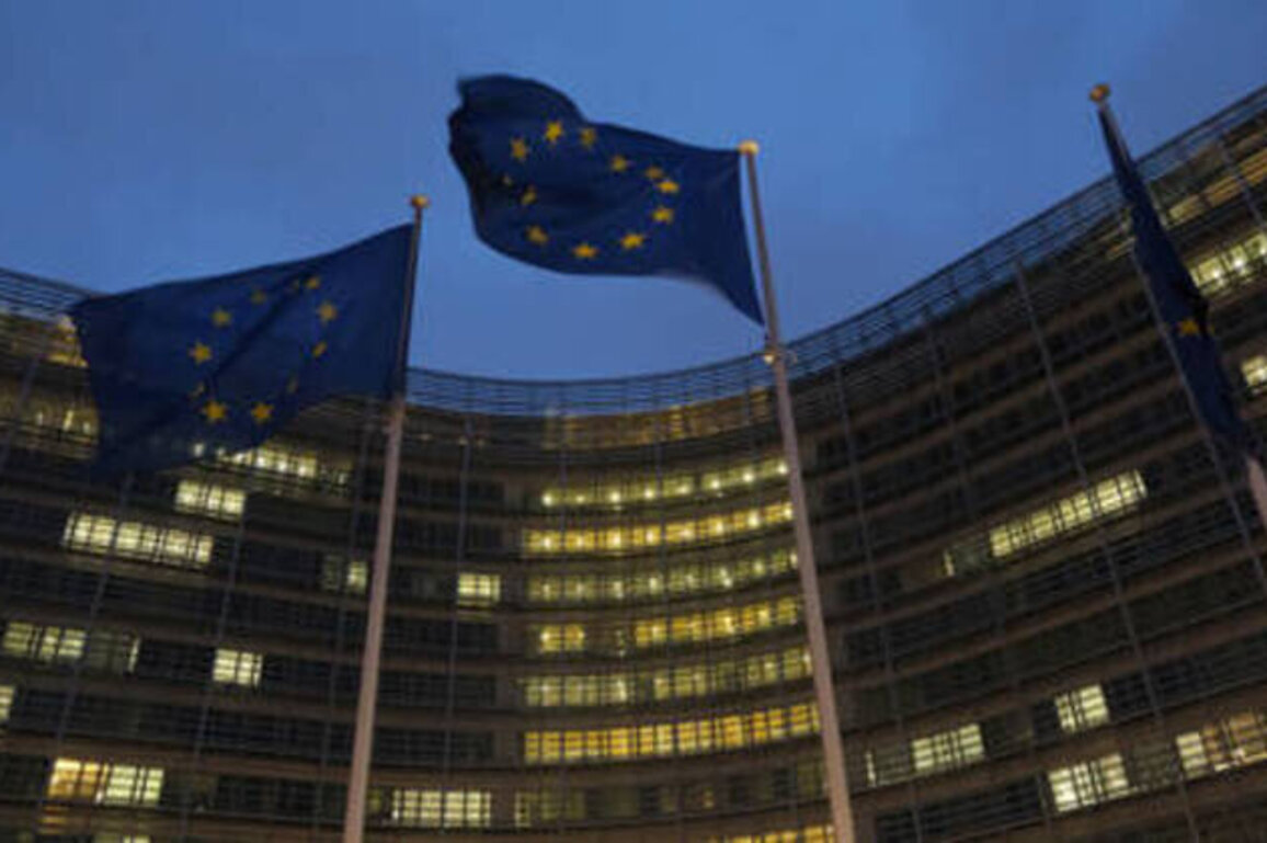 EU could sue member states defying Kiev trade deal - Politico