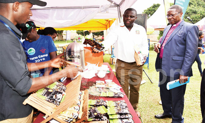 Youth can boost coffee revenue, says expert Youth can boost coffee revenue, says expert