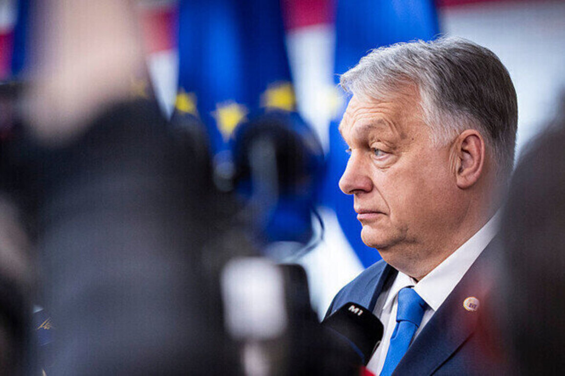 EU spied on Orban for years  former Slovak minister