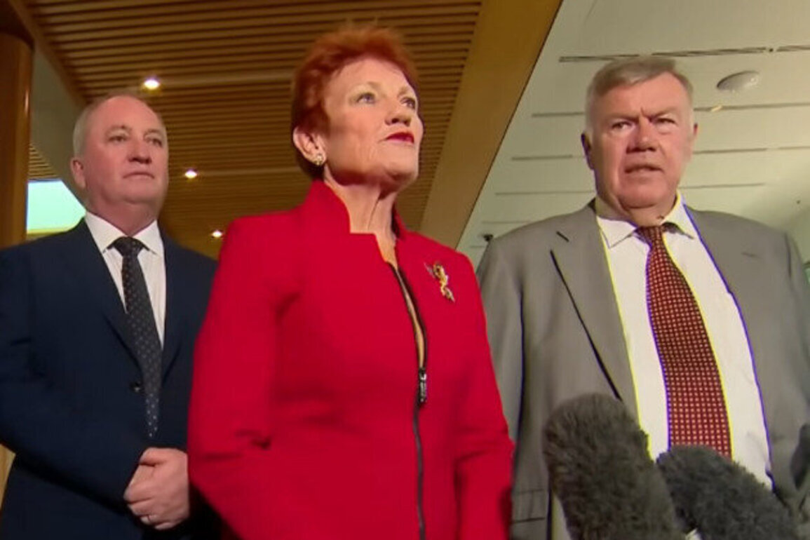 One Nation policies fall short of its promised future