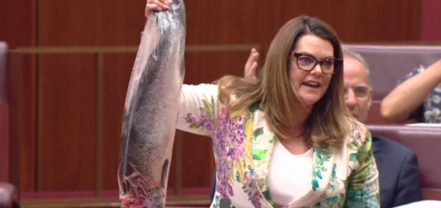 Sen Sarah Hanson-Young brandishes a salmon in the Senate