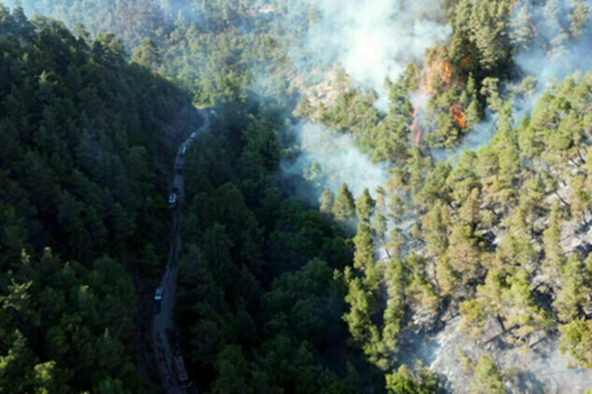 Bahrain expresses solidarity with Syria over Latakia wildfires