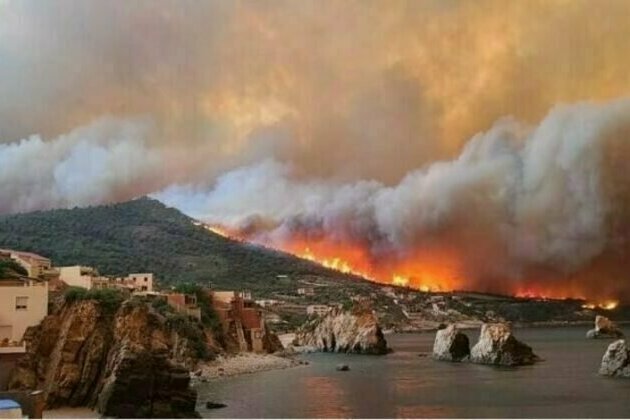 Forest Fires in Kabylia: A Surge of Solidarity is organized