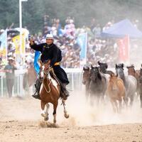 Hooves and hopes -- how northwest China is grooming a new generation for booming equine industry