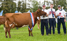 Strickley Strawberry takes the supreme sash at Westmorland   