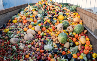 Defra to offer £15m funding to help tackle on-farm food waste