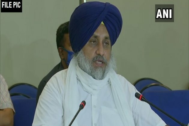 Hooch tragedy: SAD chief Sukhbir Badal demands CBI or HC probe