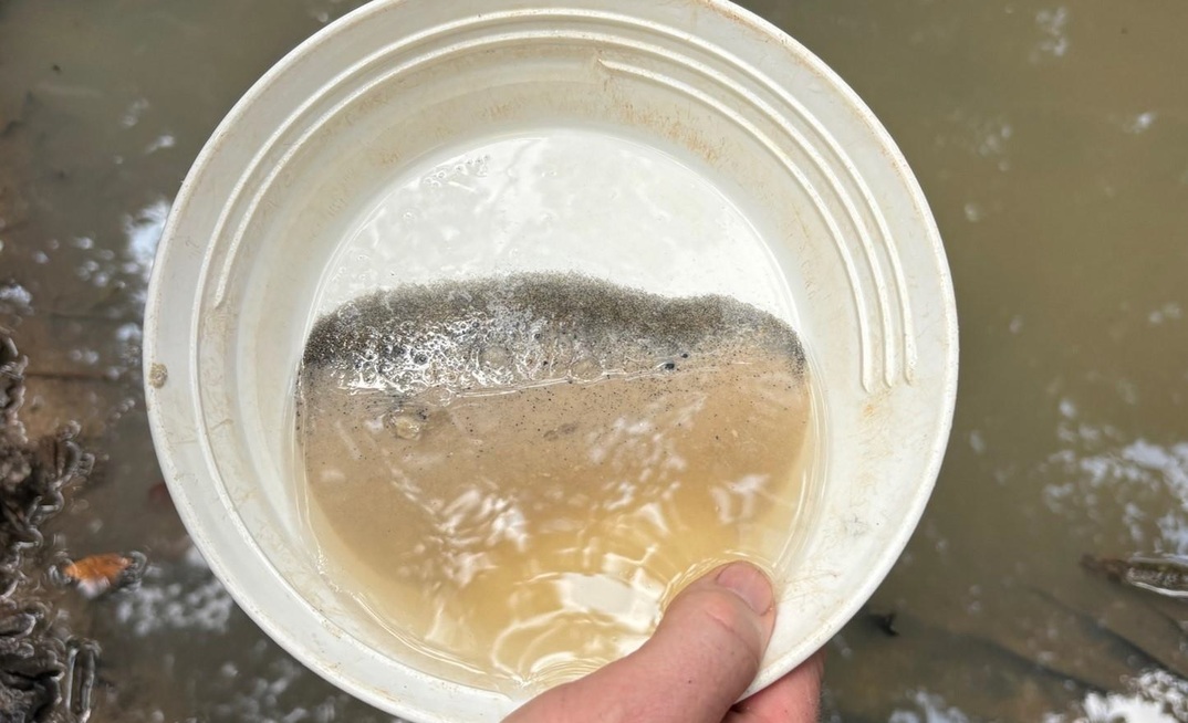 Rutile in Cameroon for Peak