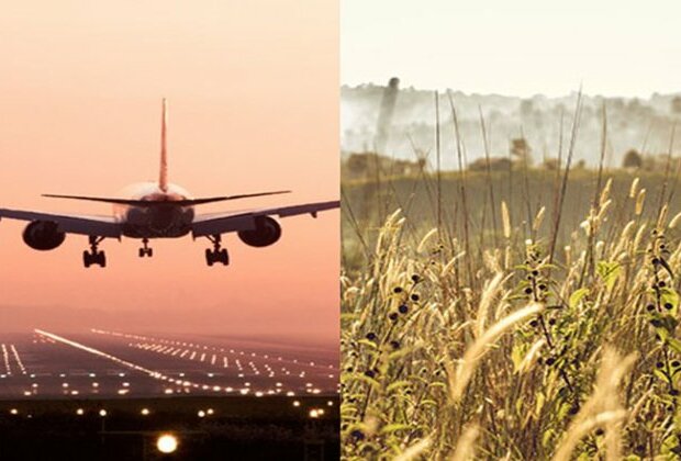 French firms keen to invest in agriculture, aircraft maintenance sector in Uttar Pradesh