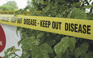 Bird flu case confirmed in farm worker in West Midlands