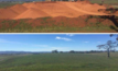  Two bauxite pits at the Bald Hill Bauxite Project, Tasmania during mining and after rehabilitation.