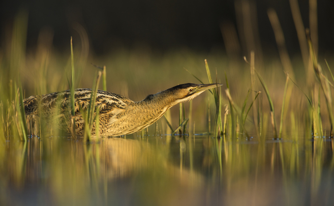 The Norfolk Broads. A range of people and organisations have worked together to establish the LGPS frameworks, including procurement and legal specialists from Norfolk County Council.