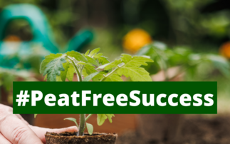 Horticulture sector unites behind peat-free gardening campaign