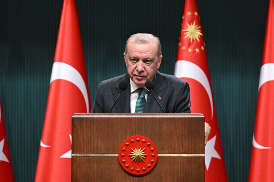 Why does Erdogan want a new constitution