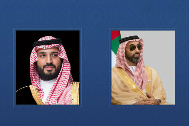 Saudi Crown Prince receives Tahnoon bin Zayed