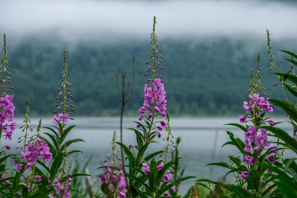 (EcoChina) CHINA-INNER MONGOLIA-ARXAN--LAKE-SCENERY