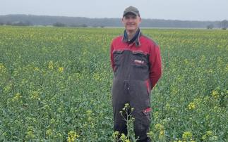 Growers urged to maintain attention to detail in weed control