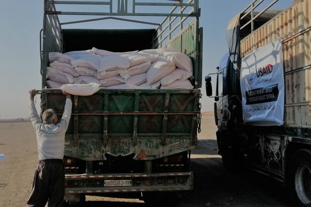 USAID Says Wheat Seeds Sent to Northeast Syria Meet High Standards&#039;