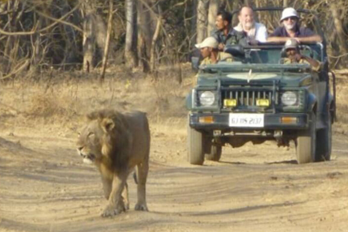 Gujarat among top 3 states visited by foreign tourists since 2024