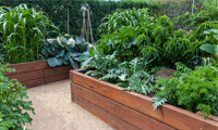 Raising the bar – how to create beautiful garden borders