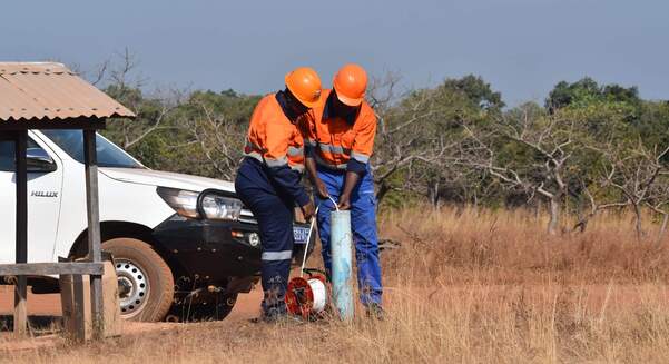 Perseus bows out of Bankan bidding battle