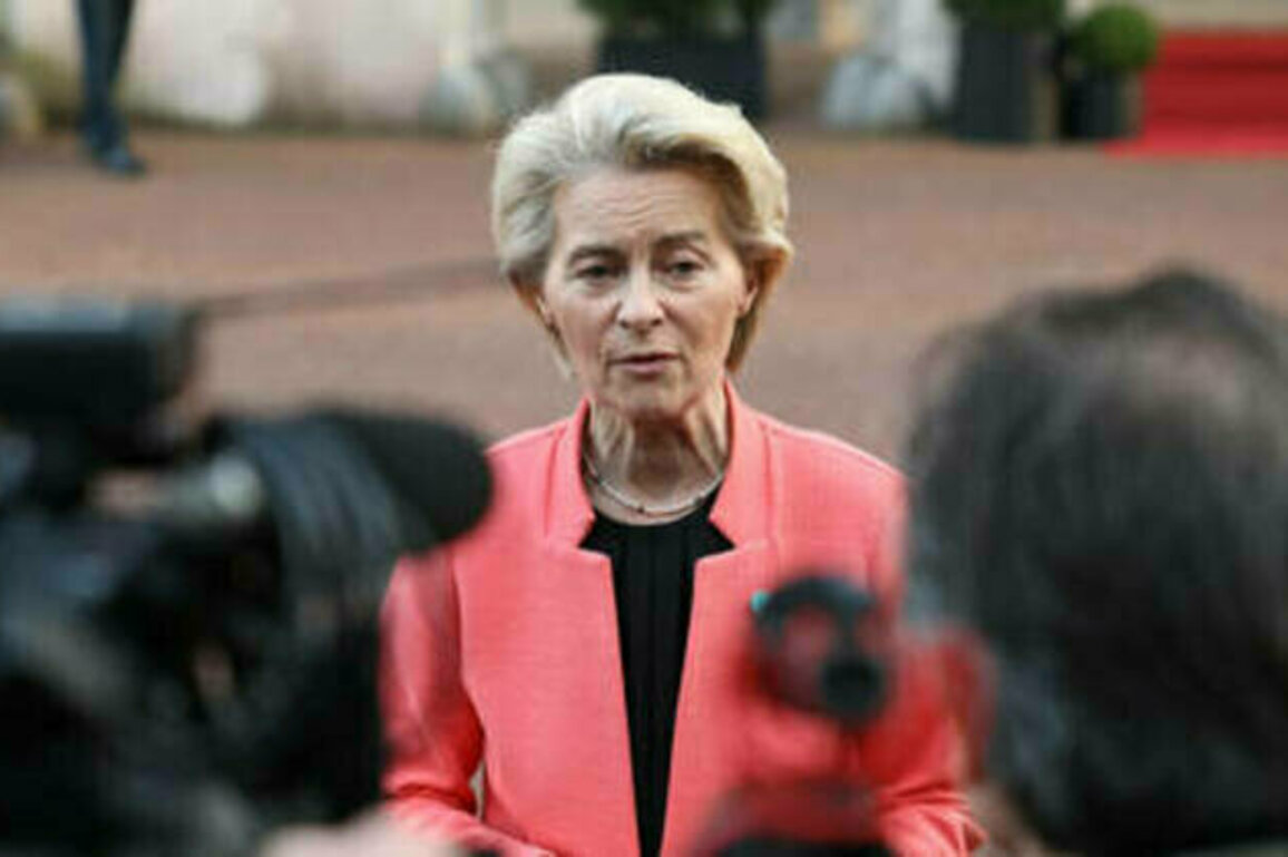 Who der Leyen: The EU has a major, unfixable problem with its foreign policy