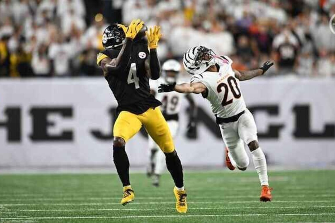 Matt's Stats: Week 11 vs. Bengals