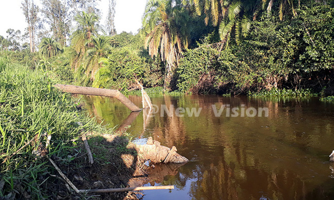 Lawyers decry environmental degradation Lawyers decry environmental degradation