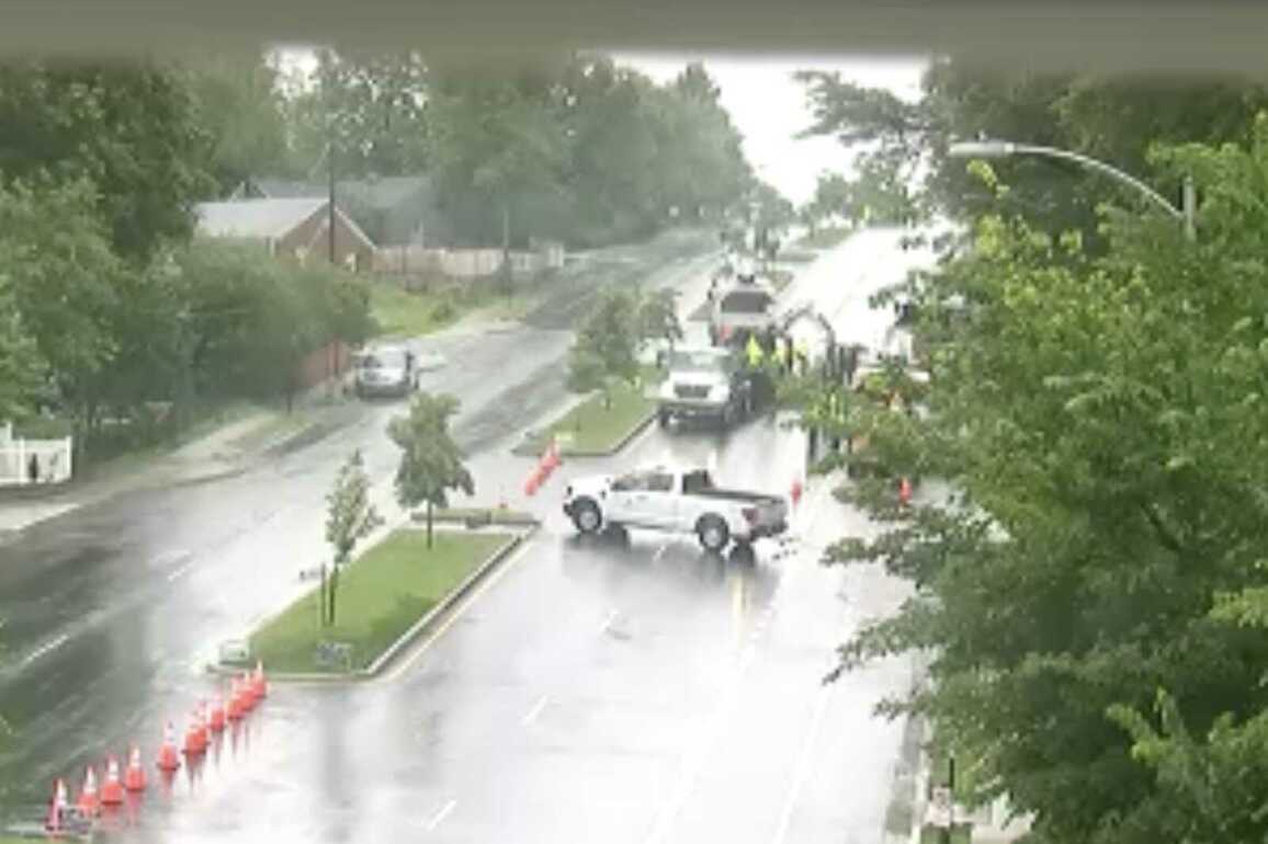 Downed trees, sparking wires amid rain and wind