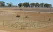  A new online resource from the NFF will help with drought management. Picture Mark Saunders.