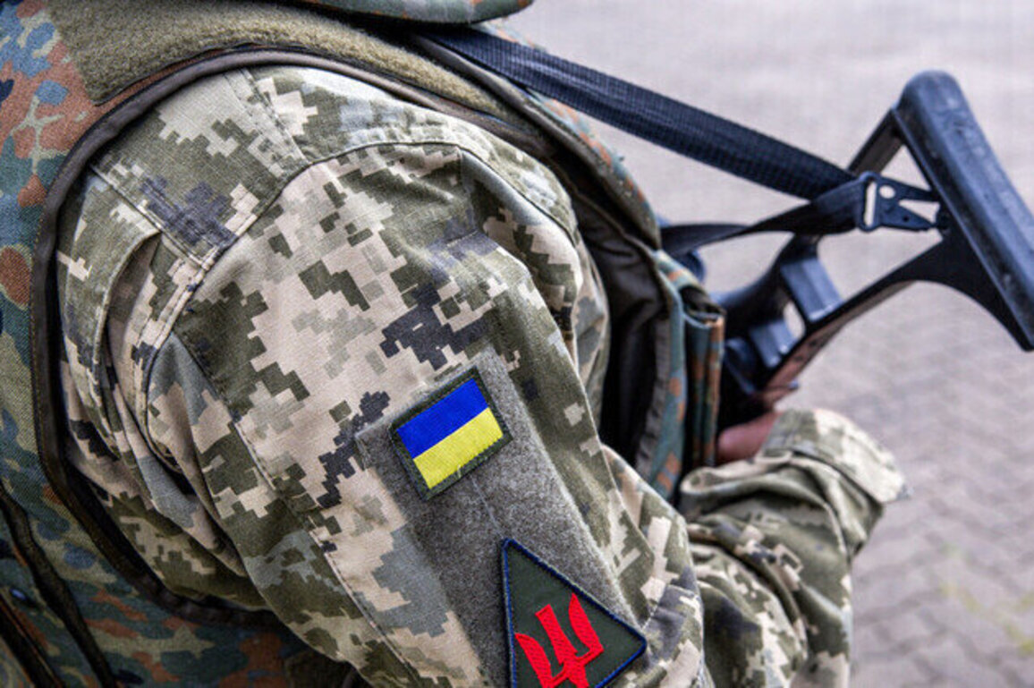 Ukrainians to help Germany prepare for war with Russia  Reuters
