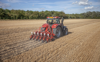 Trial results show beet establishment benefits with strip-tillage