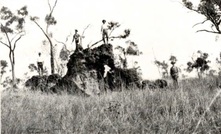 Historical image of the Nightflower outcrop. Credit: Tartana.