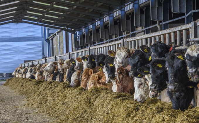 Careful management and supplementing diets could help farms overcome issues with poorer quality silage this year. Careful management and supplementing diets could help farms overcome issues with poorer quality silage this year.