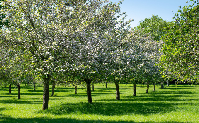 New guidance has been published to encourage commercial growers to consider regenerative farming