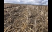  Farmers in WA's south west can now apply for funding to support carbon farming projects, with soil testing, preparation and seed purchasing among the eligible activities Picture Mark Saunders.