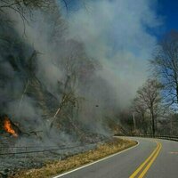 Carolina wildfires followed months of weather whiplash, from drought to hurricane-fueled floods and back to drought